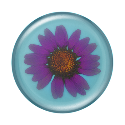 Pressed Flower Purple Daisy — Adhesive PopGrip
