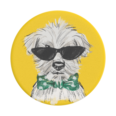 Alfie Dogs Trust