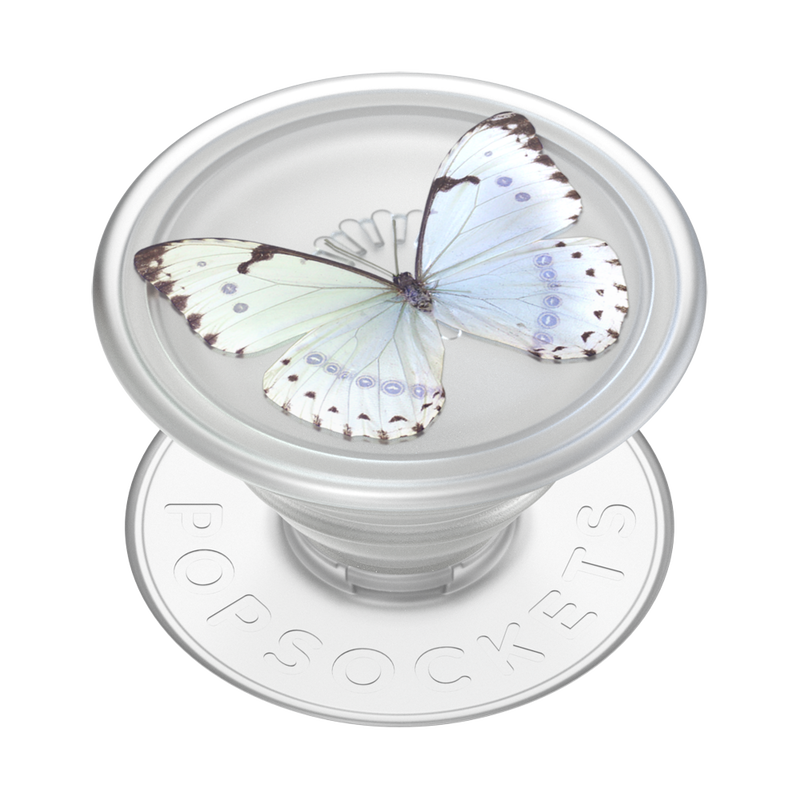 PlantCore Whisper Moth image number 1