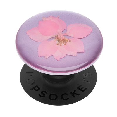 Secondary image for hover Pressed Flower Delphinium Pink