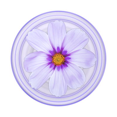 PlantCore Purple Cosmo