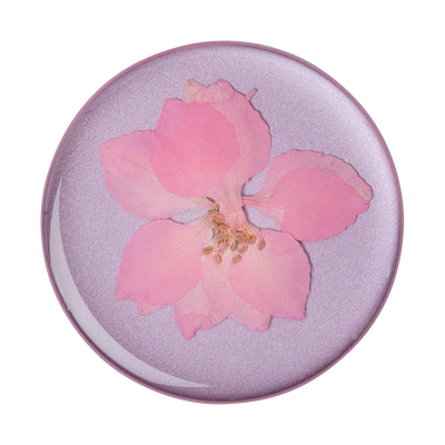 Pressed Flower Delphinium Pink