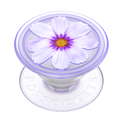 Secondary image for hover PlantCore Purple Cosmo