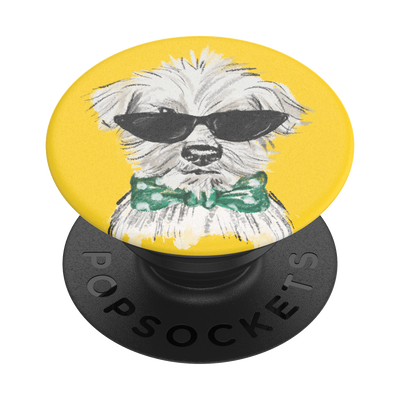 Secondary image for hover Alfie Dogs Trust