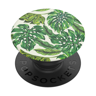 Secondary image for hover Monstera Deliciosa — Adhesive PopGrip