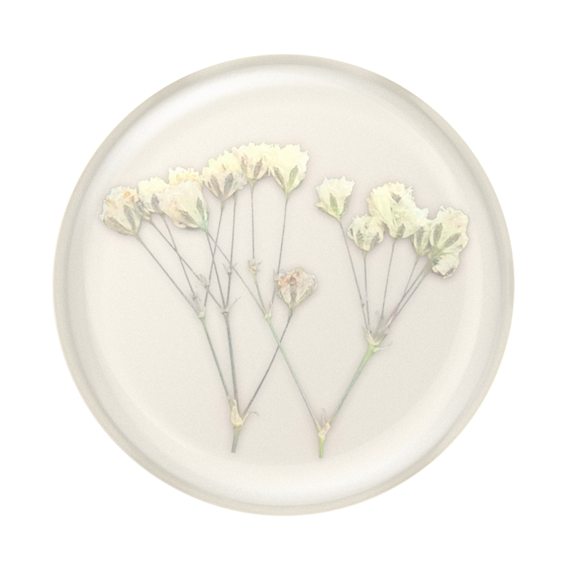 Pressed Flower Baby's Breath — Adhesive PopGrip image number 1